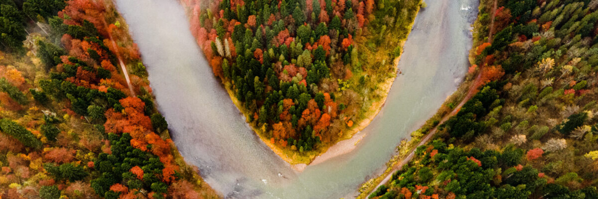 DJI_0240-Vylepšené_20210102