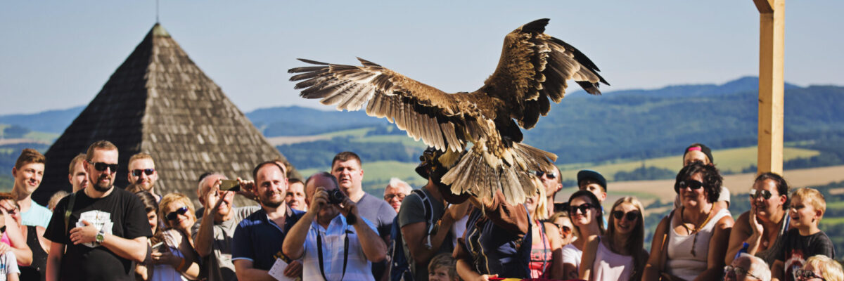 Hradné slávnosti 2017 (9)