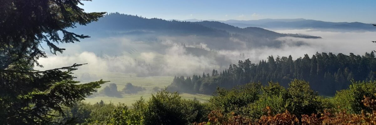výhľad na Panské lúky (Stredné)